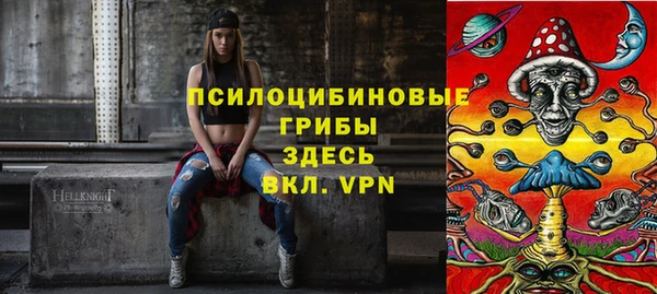 альфа пвп Усинск