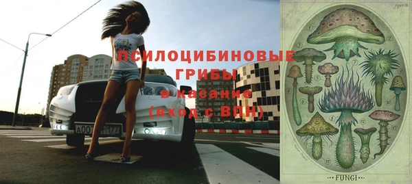 альфа пвп Усинск
