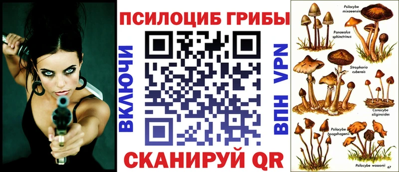 Галлюциногенные грибы Psilocybe Бирск